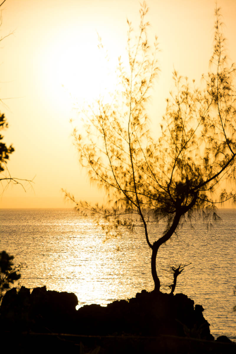 Nello sperduto arcipelago delle Quirimbas, in Mozambico, si possono osservare meravigliosi tramonti!